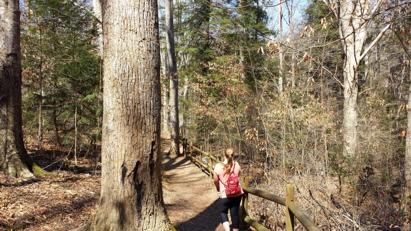 People walking in woods